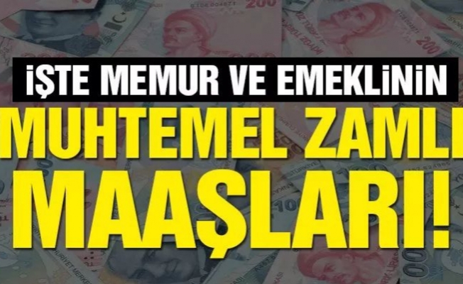 2020 Ocak Muhtemel Memur ve Emekli Maaşları Ne Kadar Olacak ?