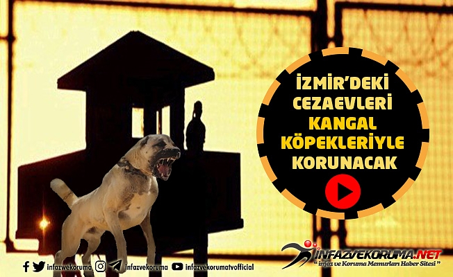 İzmir'deki Cezaevleri Kangal Köpekleriyle Korunacak