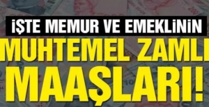 2020 Ocak Muhtemel Memur ve Emekli Maaşları Ne Kadar Olacak ?